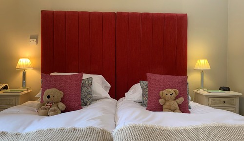 Habitación estándar con 2 camas individuales, baño privado