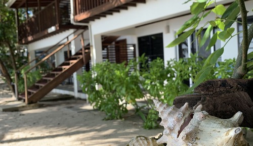 Suite superior, patio, junto a la playa