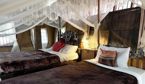 Habitación Deluxe con 2 camas individuales