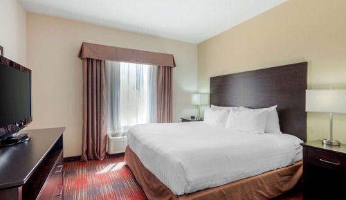 Suite, 1 cama de matrimonio grande, no fumadores, cocina básica (with Sofabed)