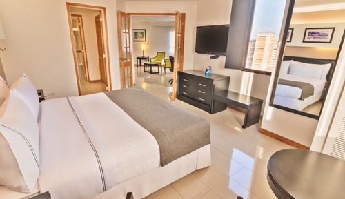 Suite, 1 cama de matrimonio grande (Suite Ejecutiva)