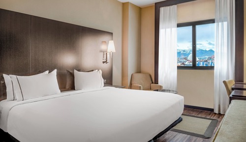 Suite junior, 1 cama de matrimonio grande