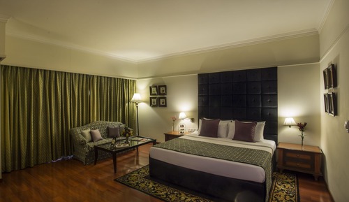 Suite Deluxe, 1 habitación, vistas al jardín