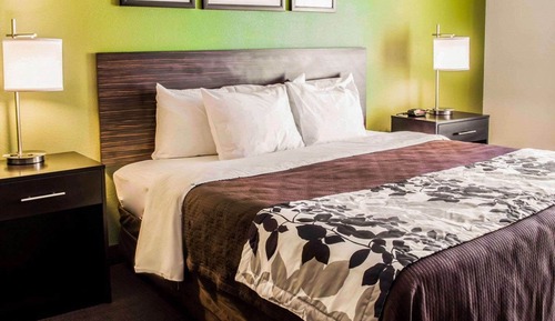 Habitación Business, 1 cama de matrimonio grande, accesible para personas con discapacidad