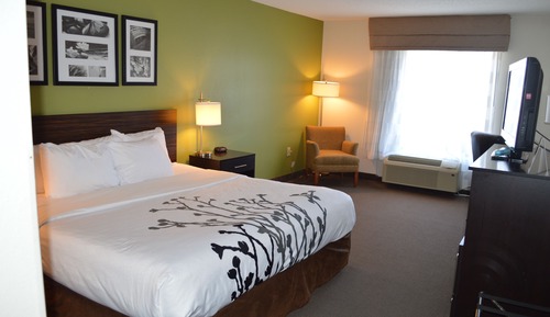 Habitación estándar, 1 cama de matrimonio grande, accesible para personas con discapacidad