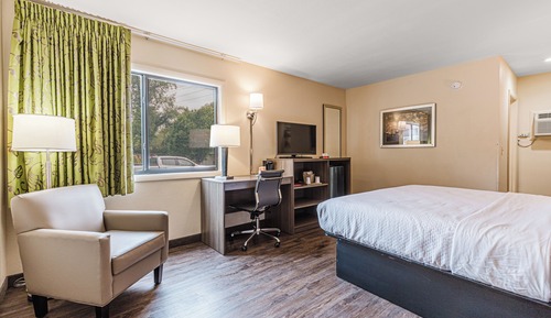 Habitación estándar, 1 cama de matrimonio grande, no fumadores, frigorífico