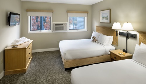 Suite, 1 habitación