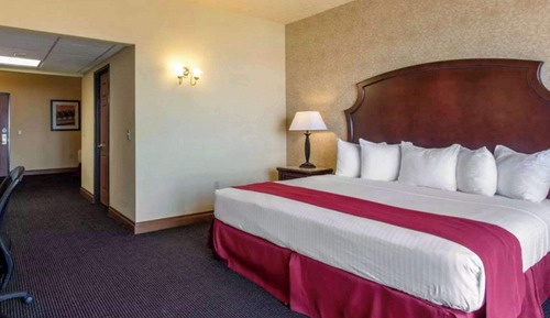 Standard Room, Multiple Beds Smoking policy Non-smoking