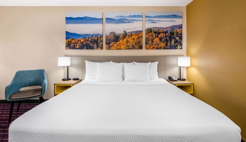 Habitación, 1 cama de matrimonio grande, no fumadores (Pet-friendly)