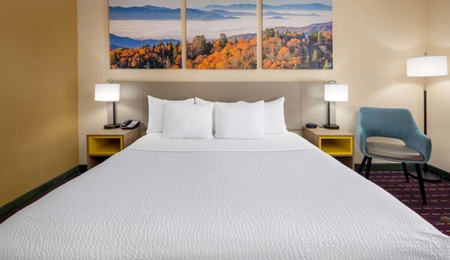 Habitación, 1 cama de matrimonio grande, accesible para personas con discapacidad (Pet-friendly)