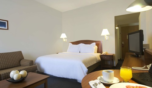 Suite junior, 1 cama de matrimonio grande