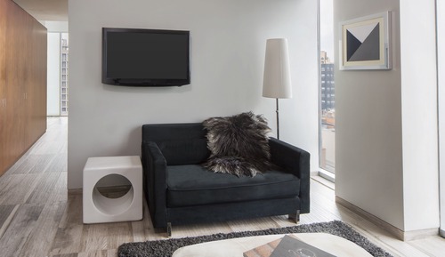 Suite estudio ejecutiva