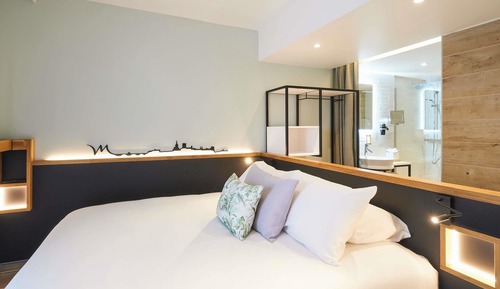 Habitación clásica, 1 cama doble