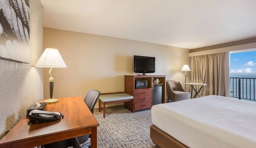 Suite, 1 cama de matrimonio grande con sofá cama, frigorífico y microondas (with Sofabed)