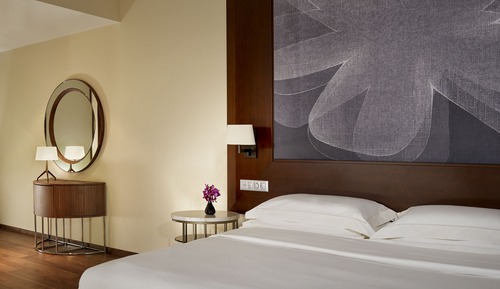 Habitación, 1 cama de matrimonio grande