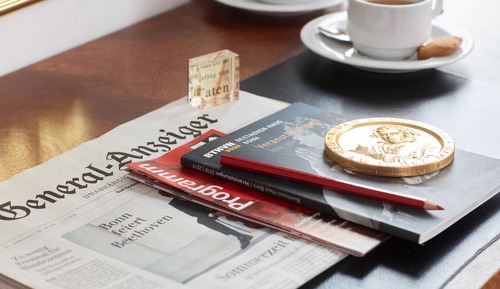 Habitación Business individual, terraza