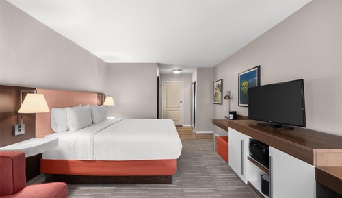 Habitación estándar, 1 cama de matrimonio grande