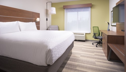 Habitación estándar, 1 cama de matrimonio grande (Roll-In Shower)