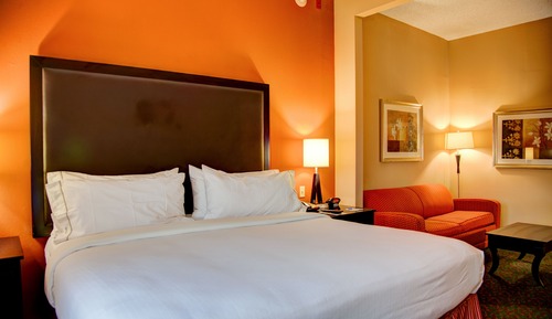 Habitación estándar, 1 cama de matrimonio grande, accesible en silla de ruedas (Accessible Tub)