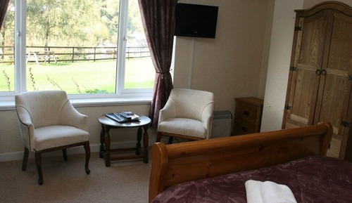 Habitación familiar (Family King Room)