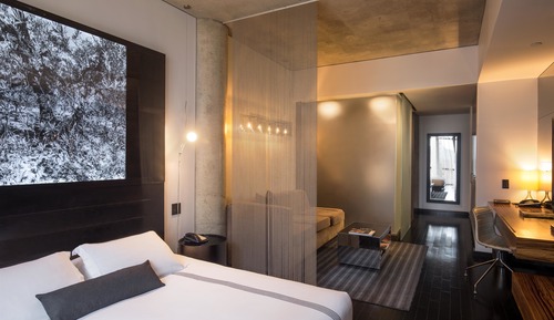 Suite junior (Premium)