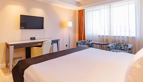 Habitación Premium, 1 cama de matrimonio grande