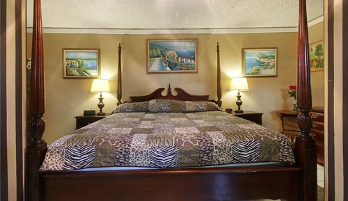 Studio, 1 King Bed, No View (Lower Semi-Basement)