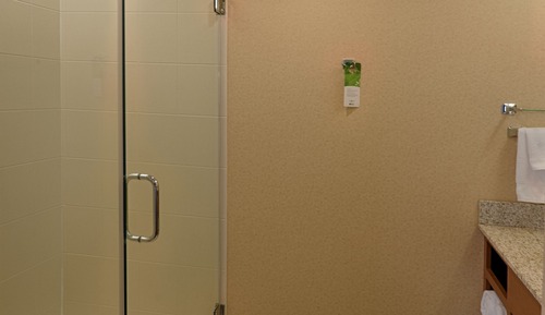 Suite, 1 cama de matrimonio grande con sofá cama (Mobility/Hearing Access, Roll-In Shwr)