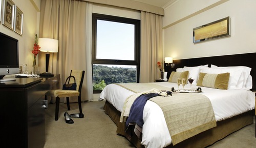 Habitación clásica, vistas al río