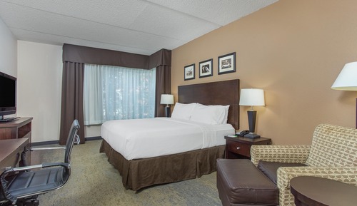 Habitación estándar, 1 cama de matrimonio grande (Mobility Roll-In Shower)