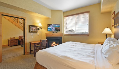 Loft, 1 habitación (Condominium)