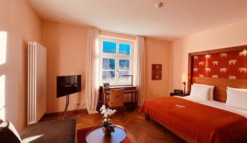 Habitación Deluxe doble (Hideaway)