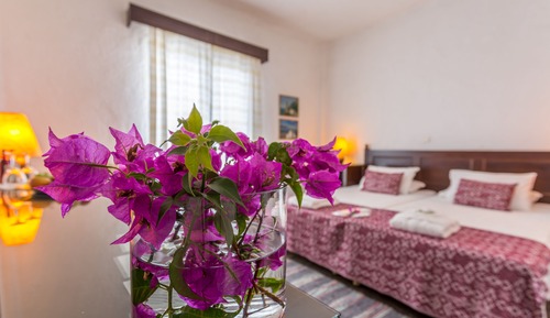 Habitación doble, vistas al jardín