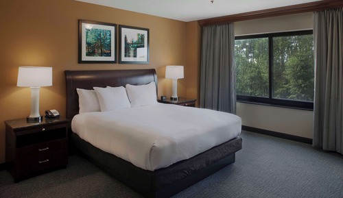 Suite, 1 cama de matrimonio grande y 1 sofá cama