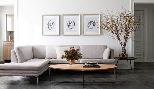 Suite, 1 habitación