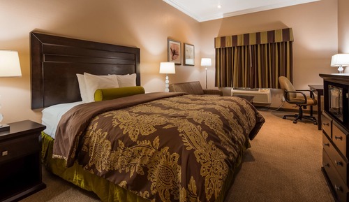 Habitación estándar, 1 cama de matrimonio grande, no fumadores, frigorífico y microondas