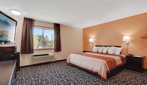 Suite, 1 cama de matrimonio grande, no fumadores, frigorífico y microondas