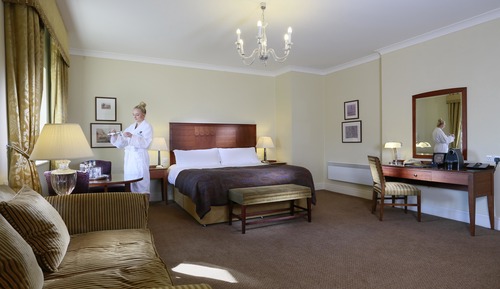 Habitación Deluxe, 1 cama doble (Super Deluxe Double Double)