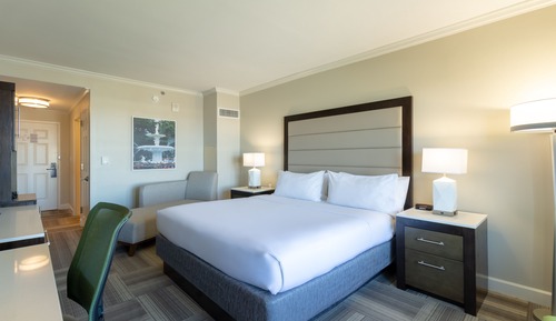 Habitación estándar, 1 cama de matrimonio grande (Walk In Shower)