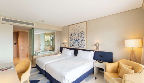 Habitación Deluxe con 2 camas individuales