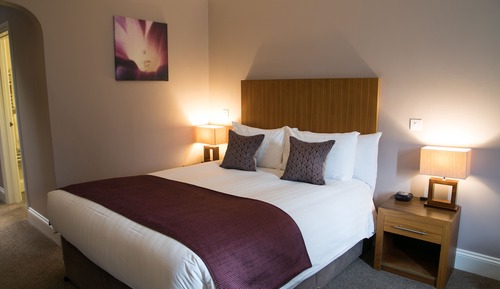 Habitación estándar, 1 cama doble, accesible para personas con discapacidad (Walk-in Shower)