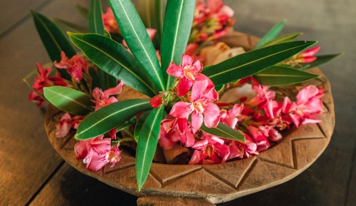 Deluxe Bungalow, 2 Bedroom Beach Front with A/C