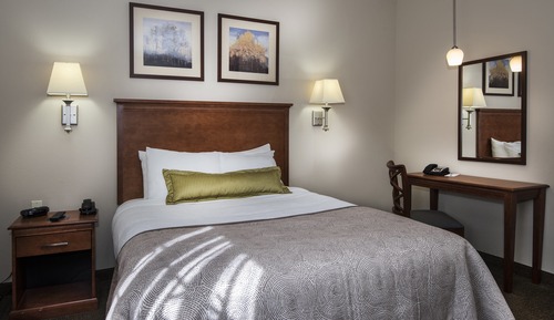 Suite, 1 habitación