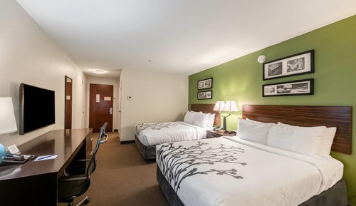 Habitación estándar, 2 camas de matrimonio, no fumadores