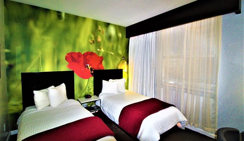 Habitación, 2 camas individuales, no fumadores