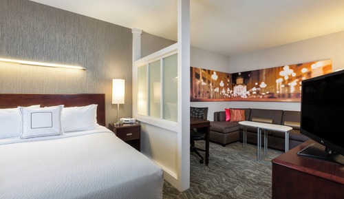 Suite, 1 cama de matrimonio grande con sofá cama