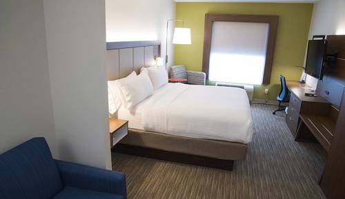 Suite, 1 King Bed with Sofa bed