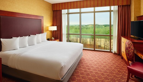 Suite, 1 cama de matrimonio grande, accesible para personas con discapacidad, no fumadores (Hearing)