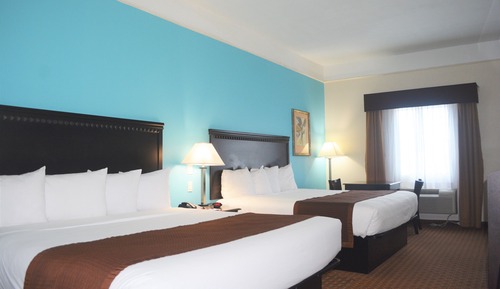 Habitación, varias camas, accesible para personas con discapacidad (Mobility,Roll-In Shower)