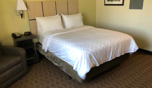 Suite, 1 cama de matrimonio (Communications, Roll-In Shower)